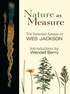 cover image of Nature as Measure